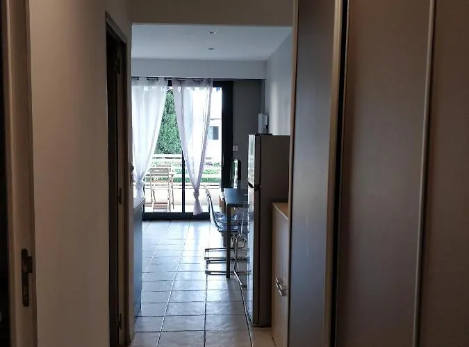 Le Palais Du Tropique Daire *