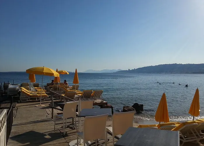 Le Palais Du Tropique Daire *